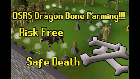 Osrs dragon bone. Reinforced dragon bones are remains obtained from rune dragons and elite rune dragons. Reinforced dragon bones give 190 Prayer experience when buried (380 when wearing the Dragon Rider amulet), 760 Prayer experience when offered at the Ectofuntus, or 665 Prayer experience when offered at a gilded altar with 2 burners lit. 