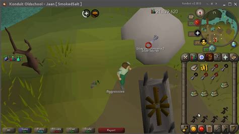 Osrs fiyr remains. Things To Know About Osrs fiyr remains. 