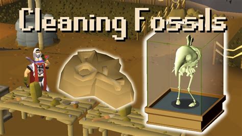 A demonstration of prayer training on fossil island using fo