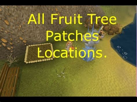 Osrs fruit tree patch. An apple tree is grown by planting an apple seed in a filled plant pot. A gardening trowel is needed to plant the seed, then it must be watered. After 15 minutes or less, the planted seed will become an apple tree sapling and can then be transferred to a Fruit tree patch. The fruit tree patch must be raked clean of weeds. 