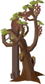 Osrs grape seeds. Things To Know About Osrs grape seeds. 