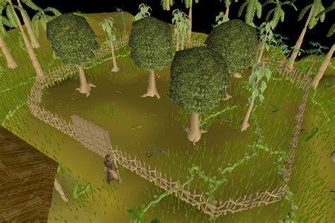 Osrs hardwood tree. 30453. Teak trees can be grown by members with level 35 Farming. Players may plant a teak seed into a plant pot with a gardening trowel to get a teak seedling, after using a watering can to water the seedling, players will have to wait until it grows into an teak sapling (seedlings can still grow if banked). Teak saplings can then be planted in ... 