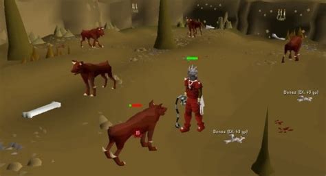 Osrs hell hounds. 🔥 Welcome to my OSRS Hellhounds Slayer Guide! 🔥 Hellhounds, the demonic creatures with powerful attacks and low defensive stats, are no match for us! 😈 Th... 