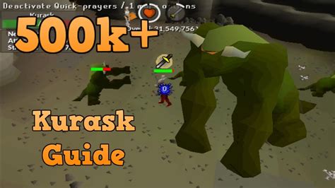 The King Kurask is a superior variant of the kurask. It has a chance of spawning after purchasing the unlock Bigger and Badder for 150 Slayer reward points from any Slayer master. King kurasks give 3 rolls on their regular counterpart's drop table. There is a 1 in 75 chance of rolling the unique drop table. This monsters drops seeds from the rare allotment seed drop table. In addition to the ... . 