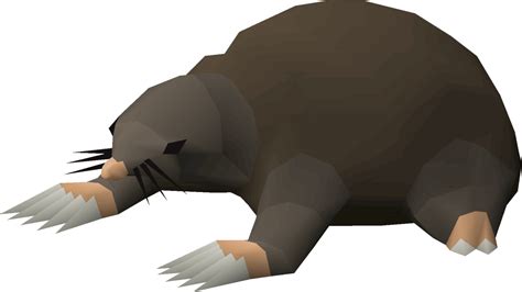 Osrs mole skin. Thanks! Trade in, you actually profit from buying them on GE and trading in but the buy limit is terrible for them. Trading in for nests is usually more profitable. But it takes time to open the nests and it is still a gamble on whether or not you get good seeds. Personally I just sell them. 