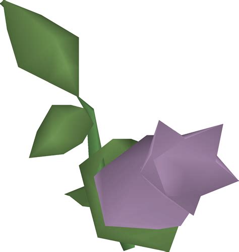 Weapon poison(++), also known as super weapon poison, is made at 82 Herblore by mixing cave nightshade and poison ivy berries in a vial of coconut milk, giving 190 Herblore experience. It is the strongest weapon poison in Old School RuneScape. Melee attacks apply poison at 25% chance, where Ranged attacks apply poison at 12.5% chance. Weapon .... 