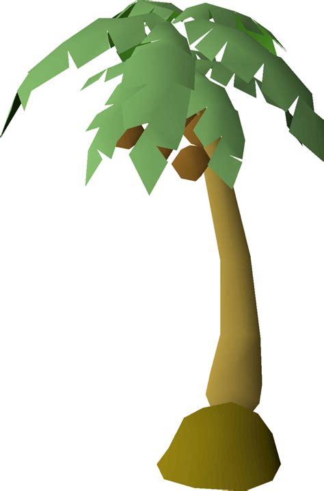 The palm tree (also known as the coconut tree) can be g