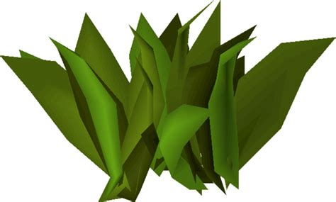 As an Ironman, there are two ways to get your hands on Limpwurt Roots: Farming, or. Killing Monsters. Farming is the better and more consistent method, and is recommended for gathering large amounts of limpwurt roots over time. On the other hand, getting Limpwurts from monsters is something that might happen passively while you're training .... 