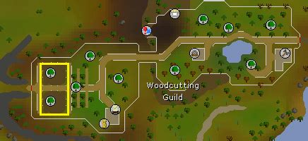 Osrs redwood sapling. A red bird's egg. A bird's egg can be obtained from a bird nest that falls out of a tree while Woodcutting or as loot from Bird house trapping. They can come in three different colours: green, blue, and red which represent the colours of Guthix, Saradomin, and Zamorak, respectively. These eggs can be offered to the shrine in the Woodcutting ... 