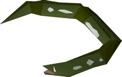 Osrs slimy eel. Raw slimy eel. A slime covered eel - yuck! Current Guide Price 592. Today's Change 28 + 4% 1 Month Change 61 + 11% 3 Month Change 94 + 18% 6 Month Change - 47 - 7% … 