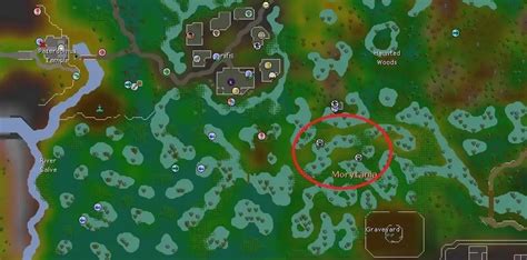Osrs swamp lizard. Hunting swamp lizards. Swamp lizards can be caught using a net trap in the Mort Myre Swamp south-east of Canifis. The hunting spot closest to the Canifis bank is just south-west of the Werewolf Agility Arena. This spot has 4 young trees close together, allowing you to set up 4 traps at once with 60 Hunter, using 4 small fishing nets and 4 ropes. 