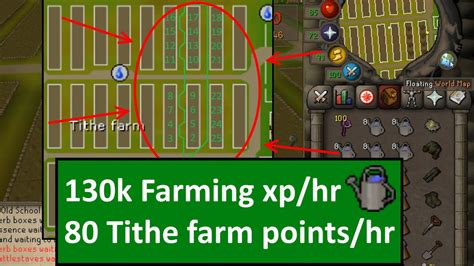 Tithe Farm. Great news, fellow farmers! The long-awaited Poll 79 changes to our favourite Farming minigame have finally arrived! Here's what's changing this week: Buh-bye griefing! Tithe Farm is now instanced and solo-only. You may now earn points more frequently, and you can bring more seeds in to harvest at a time, so you can reap the rewards .... 