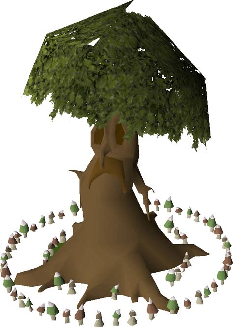 Osrs tree spirit fairy ring. Just ardy cape tele. Fairy ring to the east spirit tree to the west. Both take about 10 secs to run to. Teleport to ur house the go to someones house. Tree spirit and fairy ring. I use the crap out of peoples house in 330. Decent alternatives to reaching a fairy ring are wizard tower tele with necklace of passage or slayer ring to fremmy slayer ... 