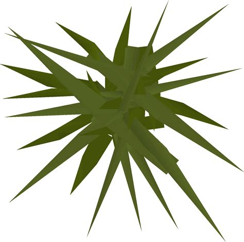 Osrs weeds. Protip : Miscellania fast approval. Some/most of you may know this i don't know but i'll say it anyways. If you rake the Herb/Flax patches you can hop and have them instantly filled with weeds and you can gain another 6 approval. Doing the 25-75% or however much you need for the quest. 