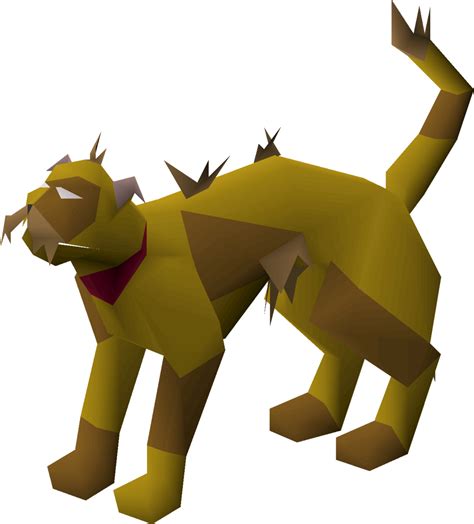 After completion of Ratcatchers quest, an Overgrown Cat can be trained into a Wily cat by talking to Felkrash in the Port Sarim Rat Pits. When the Wily cat eventually reverts to a Lazy cat, it can be re-transformed into a Wily cat through training by catching rats (both normal and Hellcat versions).N