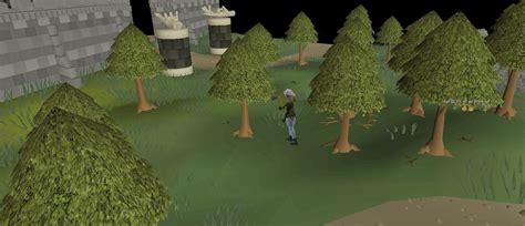 I've been doing teaks or fossil island mushrooms from 80, but thinking should I use the +2 WC potion between infernal axe specs and just cut redwoods when I hit 89? Yeah, redwoods are pretty solid xp and super afk. I'd say use preserve and boost wc.. 