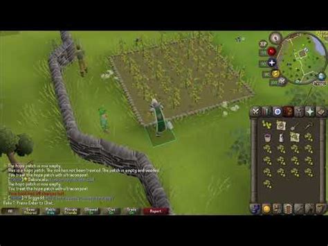 Osrs yanillian hops. Yanillian Hops are grown by planting 4 Yanillian seeds in a Hops patch, requiring level 16 Farming. Planting yanillian seeds gives 14.5 experience, and are planted with a seed … 