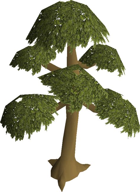 Osrs yew tree. 10820. An oak tree is a lumber tree requiring level 15 Woodcutting to cut, granting 37.5 experience for each set of oak logs received. It is the lowest level tree capable of providing more than one log from each tree. Oak trees are commonly cut to train Woodcutting after normal trees. 