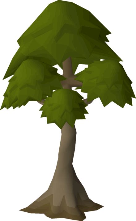 The church in the village has 3 yew trees in its courtyard, as well as an entrance to Death's Domain. The church is at the end of the rooftop agility course. Within it is an altar to restore Prayer at and a church organ. Flax field [edit | edit source]. Osrs yew tree