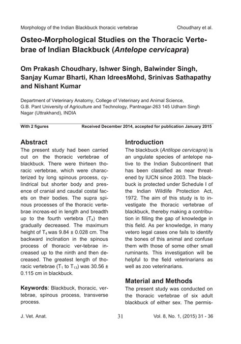 Osteo-Morphological Studies on the Thoracic Verte-brae of Indian ...