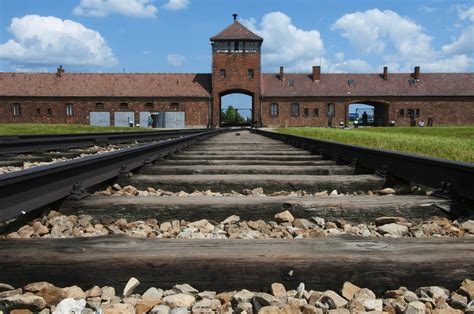 News. Our post-war identity is structured on the memory. Auschwitz Museum Report 2023. 25-01-2024. English-Polish report summarizing the year 2023 at the Auschwitz Museum and Memorial was published. Director Piotr M. A. Cywiński dedicated his introduction to the role of memory in shaping our post-war identity.. Oswiecim