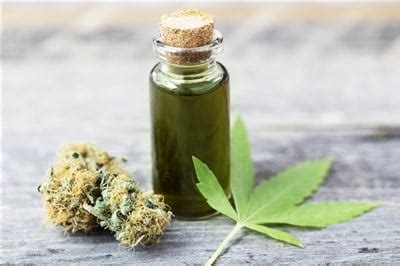 Is the cannabis sector about to light up? Following the U.S. House Judiciary Committee's monumental decision to approve the Marijuana Opportunity Reinvestment and Expungement (MORE) Act on Nov. 20 ...