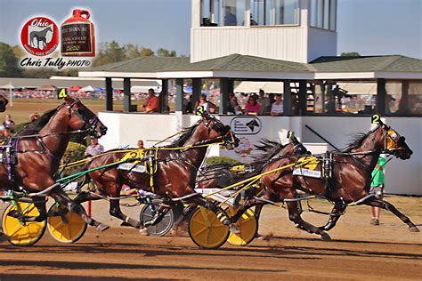 Other Race Info - Little Brown Jug