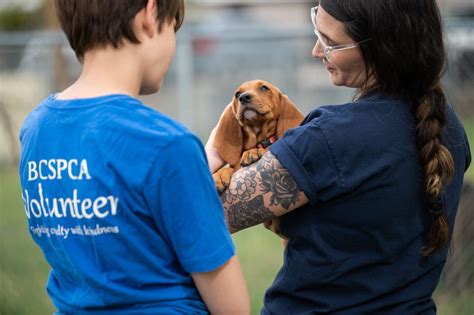 Other ways to give BC SPCA