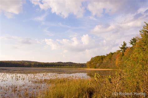 Otis Lake - Outdoor Michigan