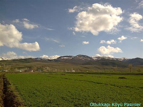 Otlukkapi Halı ve Koltuk Yıkama
