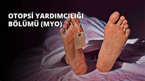 Otopsi Bölümü (Ceset Çiftliği) (Kay Scarpetta, #5).