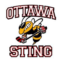 Ottawa Centre - Hockey Club in Ottawa, ON, Canada - Travel Sports