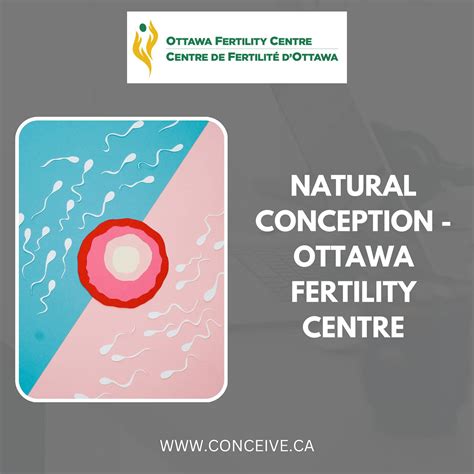 Ottawa Fertility Center - Lessons Learned : r/ottawa - Reddit