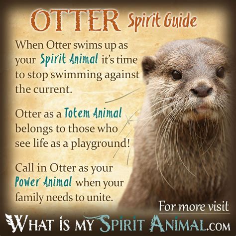 Otter Animal Totem Symbolism & Meanings - SunSigns.Org