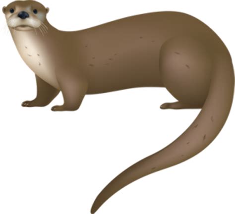 otter: [noun] any of various largely aquatic carnivorous mammals (such as genus Lutra or Enhydra) of the weasel family that usually have webbed and clawed feet and dark brown fur.