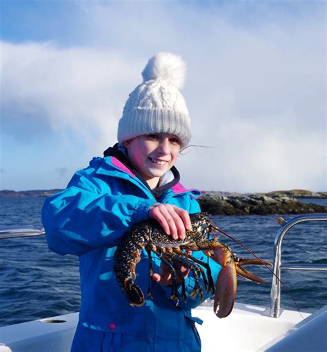 Otters, Seals and Creels – Isle of Harris Sea Tours