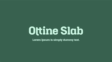 Ottine Slab Font Webfont & Desktop MyFonts