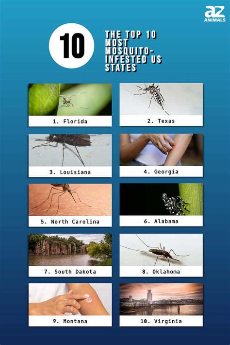 Ouch! Texas ranks Top 10 mosquito-infested states