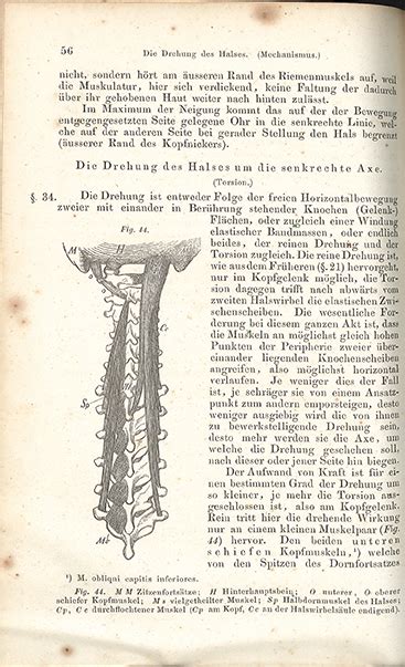 Oudste inventaris der oudste academische anatomie in nederlandij. - Mise en scène de l'opinion publique dans la littérature des lumières.