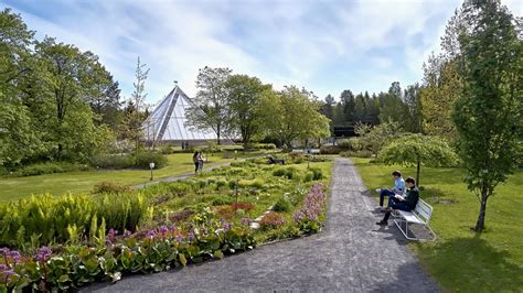 Oulu Halı ve Koltuk Yıkama