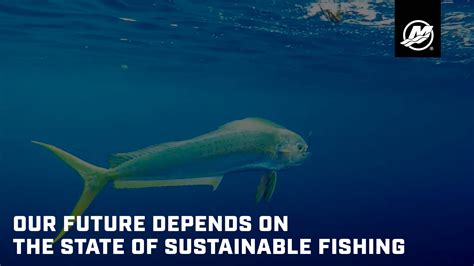 Our Future Depends on the Fate of Sustainable Fishing