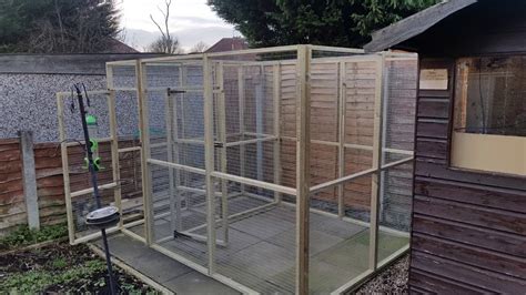 Our New Aviary! DIY Aviary Build - YouTube