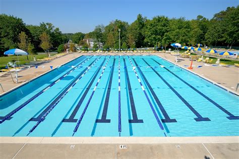 Our Pool Team