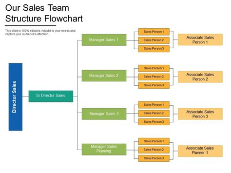 Our Sales Team Structure Flowchart PowerPoint Slide Presentation