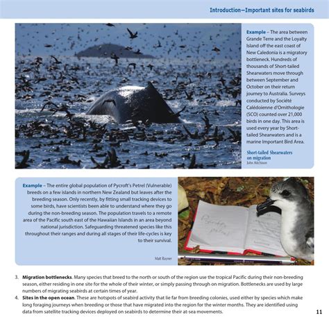 Our Seabirds in Changing Times - Issuu