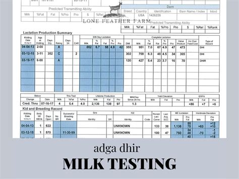 Our first go of DHIR milk testing simplified