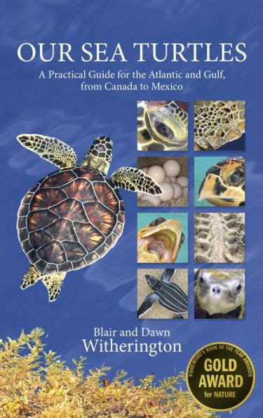 Our sea turtles a practical guide for the atlantic and gulf from canada to mexico. - Service manuals ricoh aficio gx 2500.