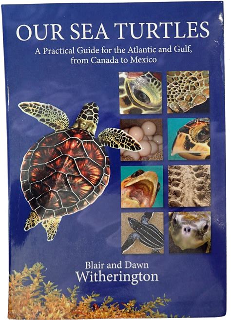 Full Download Our Sea Turtles A Practical Guide For The Atlantic And Gulf From Canada To Mexico By Blair Witherington