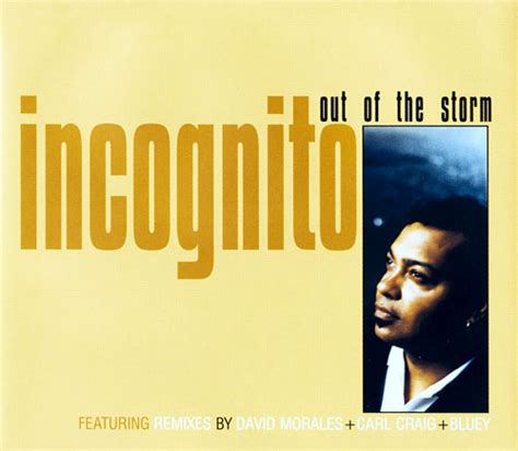 Out Of The Storm MP3 Song Download by Incognito …