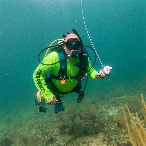 Out Scuba &ndash; LGBTQIA+ Scuba Club